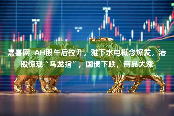 嘉喜网  AH股午后拉升，雅下水电概念爆发，港股惊现“乌龙指”，国债下跌，商品大涨