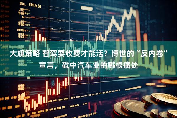 大旗策略 智驾要收费才能活？博世的“反内卷”宣言，戳中汽车业的哪根痛处
